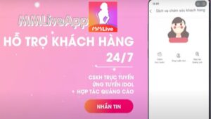 liên hệ MMlive