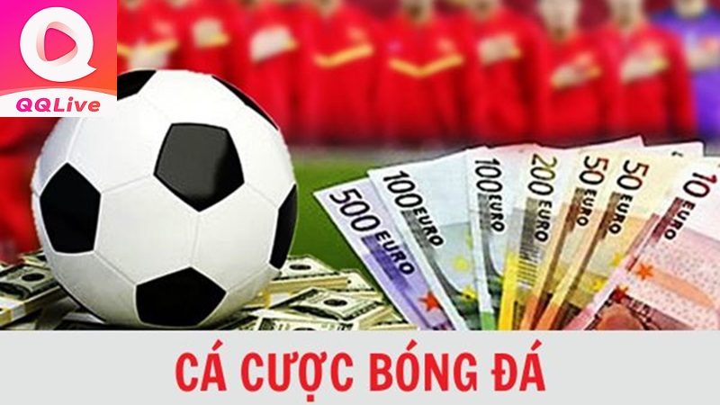 cá cược bóng đá QQlive